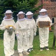 Neues von den Bienen